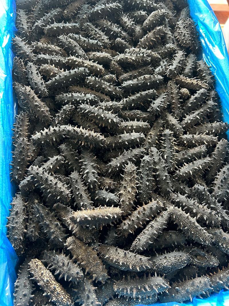 海南美食之旅：海产品批发市场的独特韵味