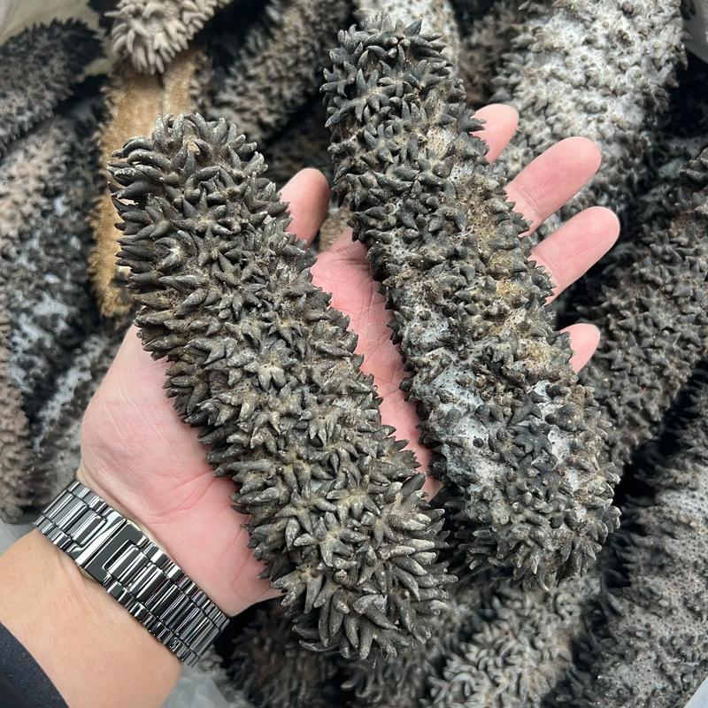 冷冻海产品加工：新时代下的产业变革与市场趋势
