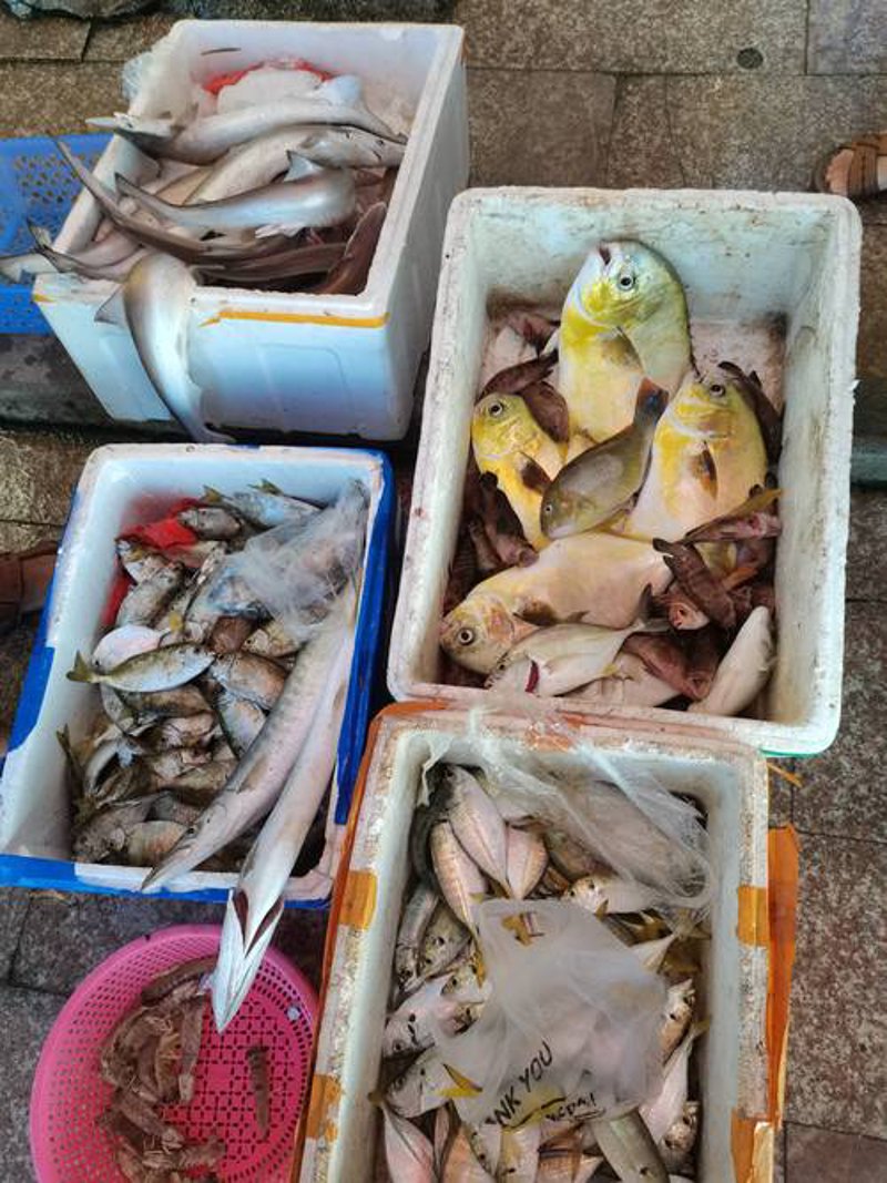 海南海鲜批发