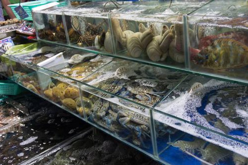 海口寻找优质海鲜批发商的那些事儿